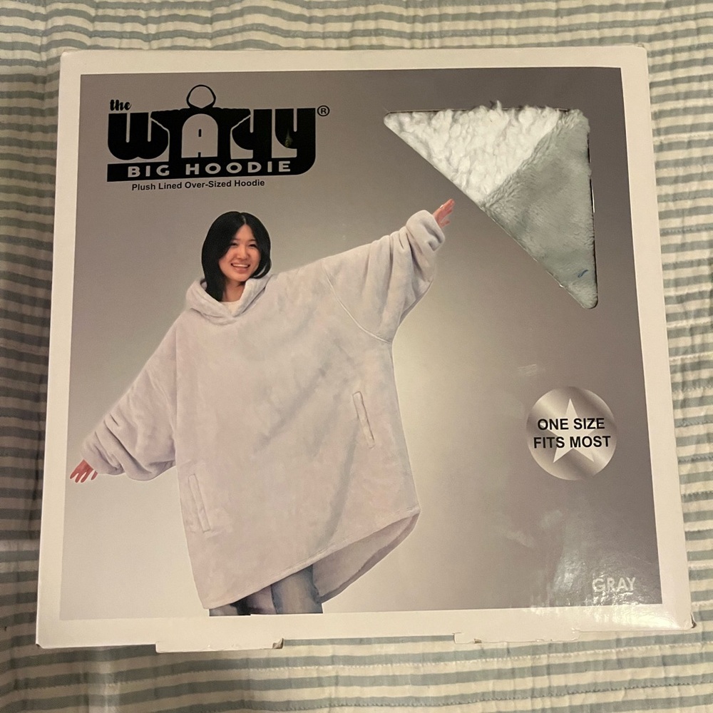 The Wayy Big Hoodie in Gray